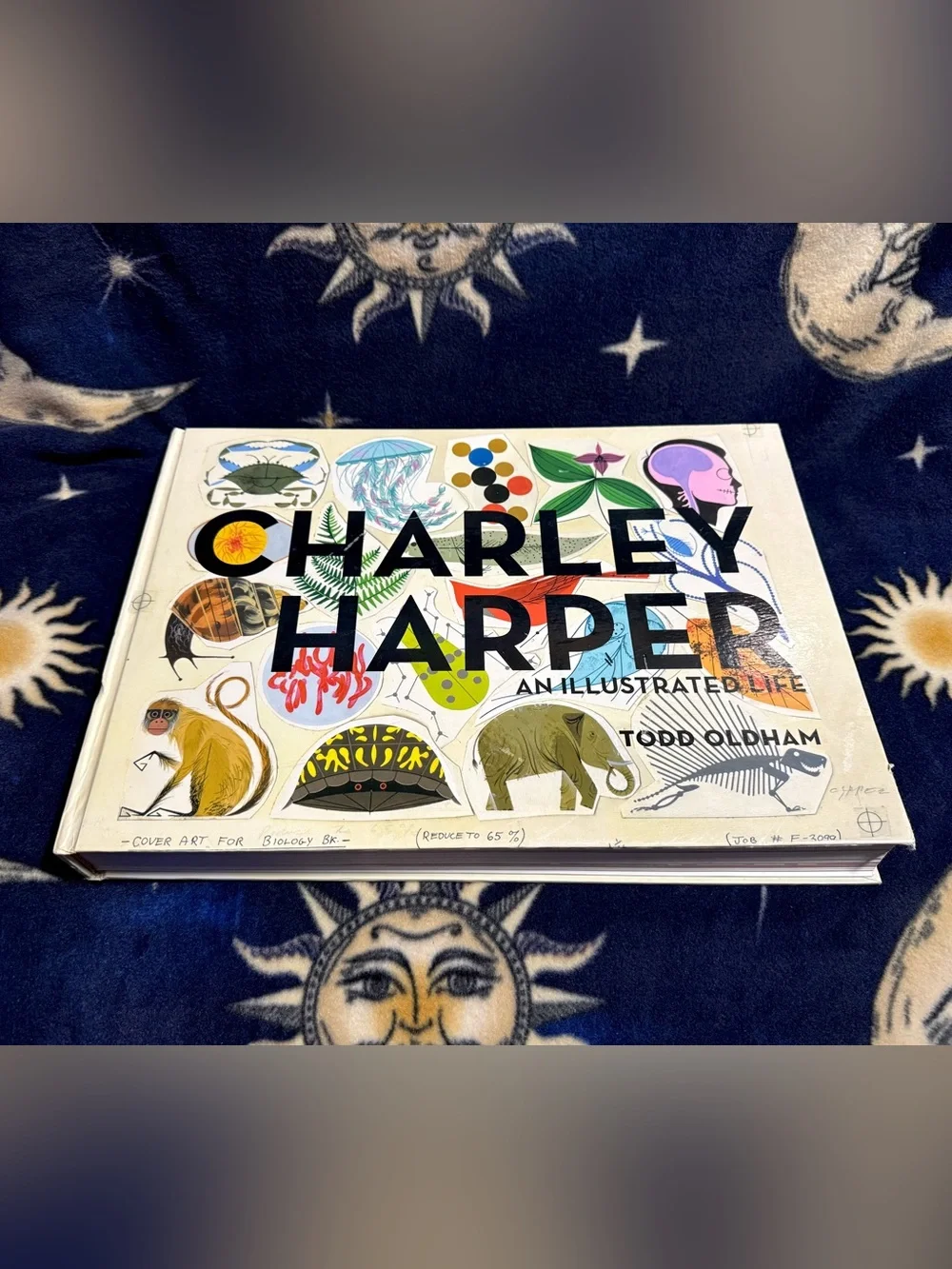 Charley Harper An Illustrated Life Todd Oldham Giant Art Book Biology Nature